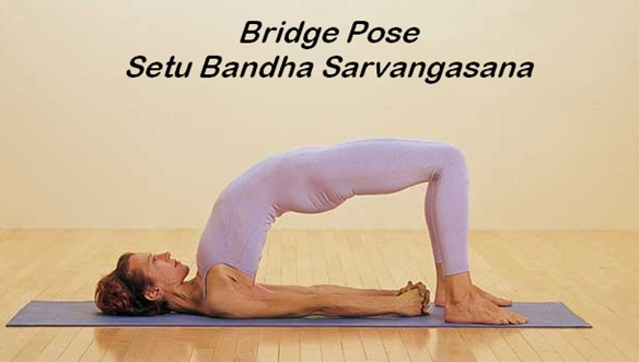 Сету Бандха Сарвангасана. Поза Моста.